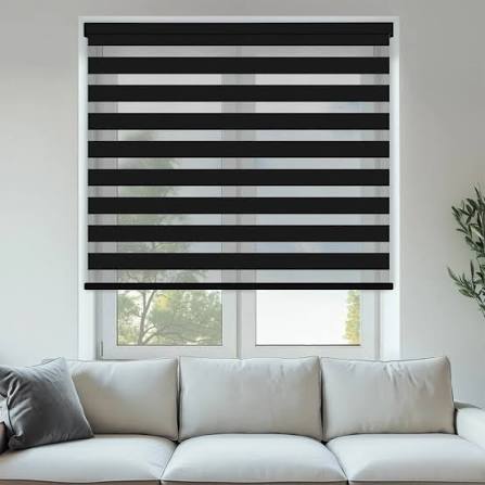 Vision Zebra Blinds